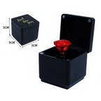 Middle Finger Prank Gift Box – Christmas Edition | Hilarious Spring-Loaded Troll Surprise