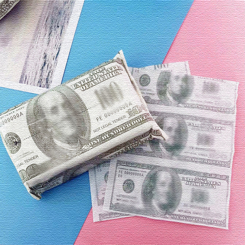 Dollar Bill Paper Towels - The Luxury Experience of Wiping with Hundred Dollar Bills!